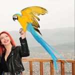KTÜ peyzaj mimarlığı bölümü öğrencisi